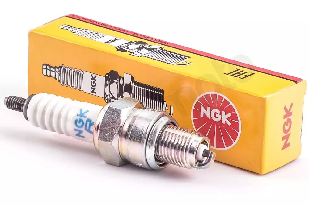gmoto-1223979