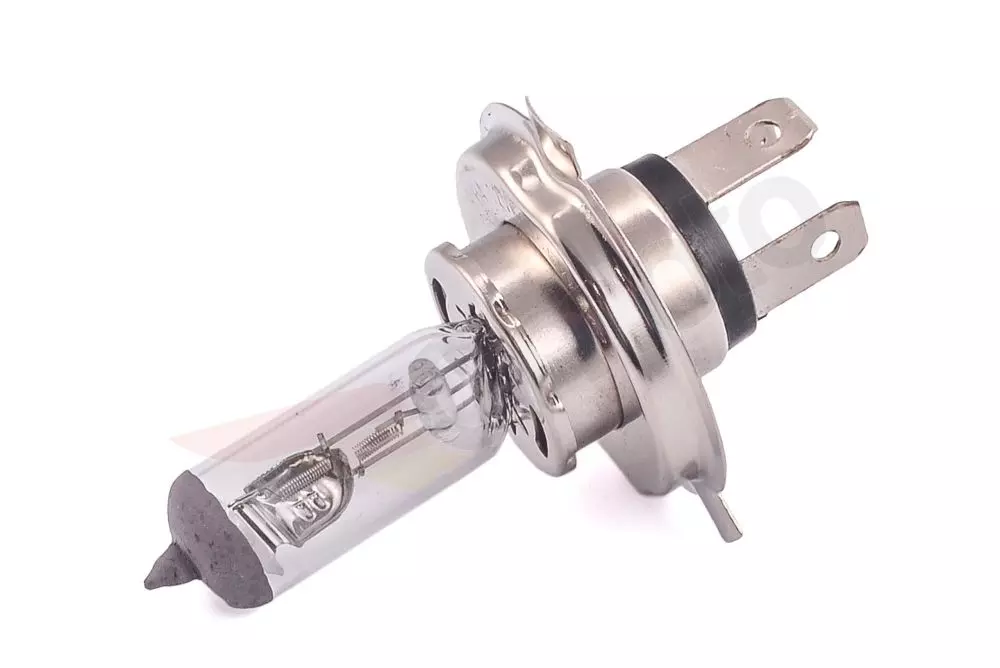 gmoto-1240437