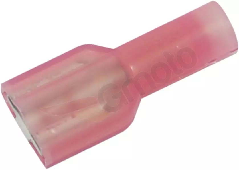 gmoto-1274365
