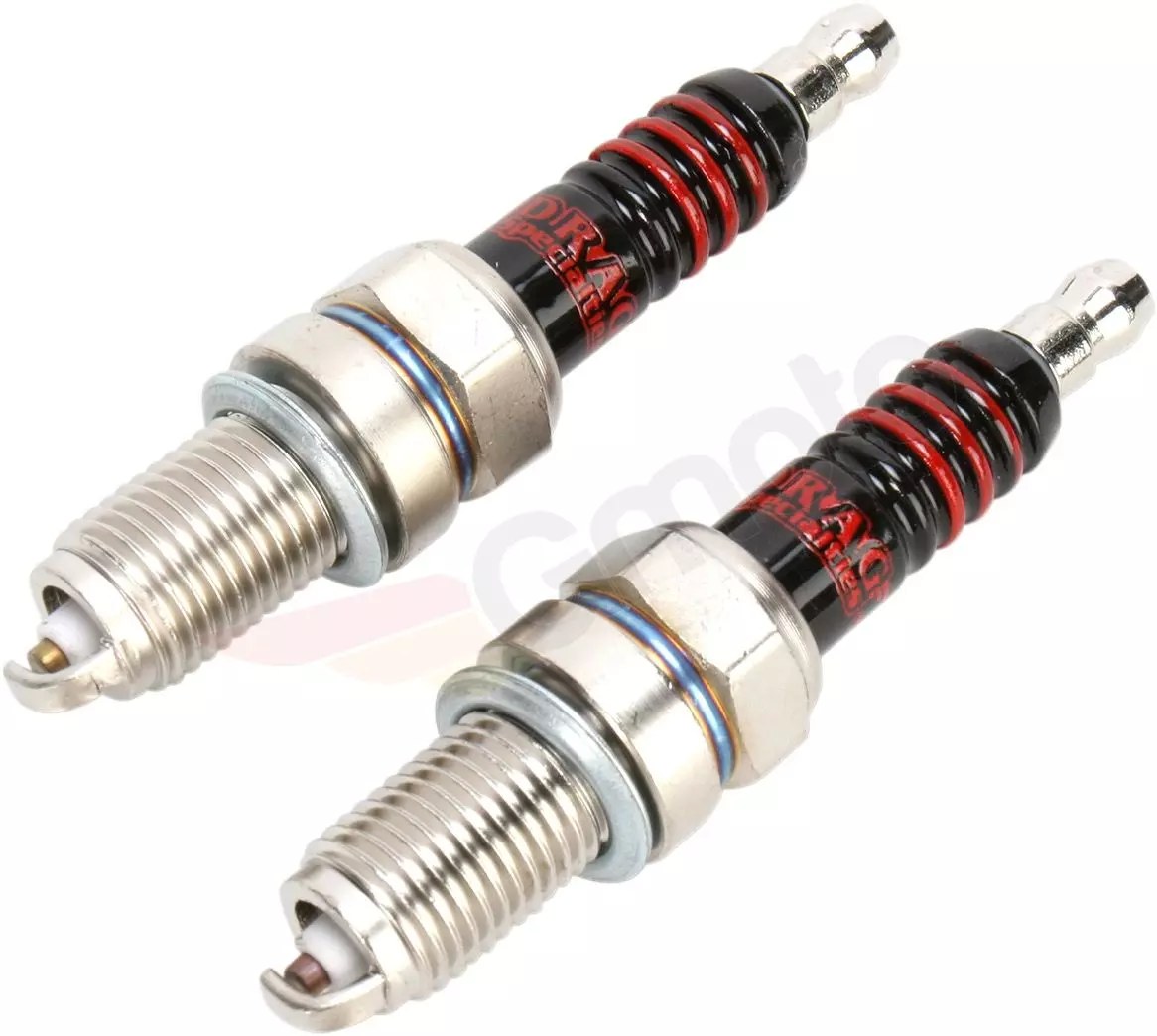 gmoto-1278509