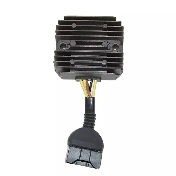 gmoto-1316305