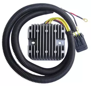 gmoto-1321711