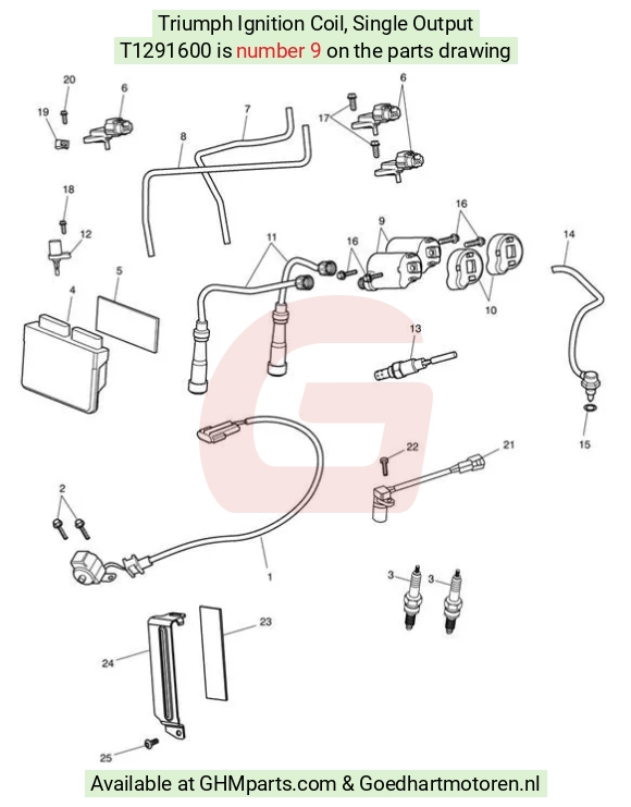 goedhartmotoren3-24169