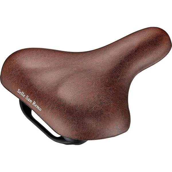 hollandbikeshop1-1278873