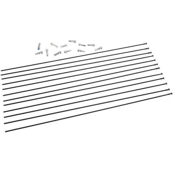 hollandbikeshop2-1298835