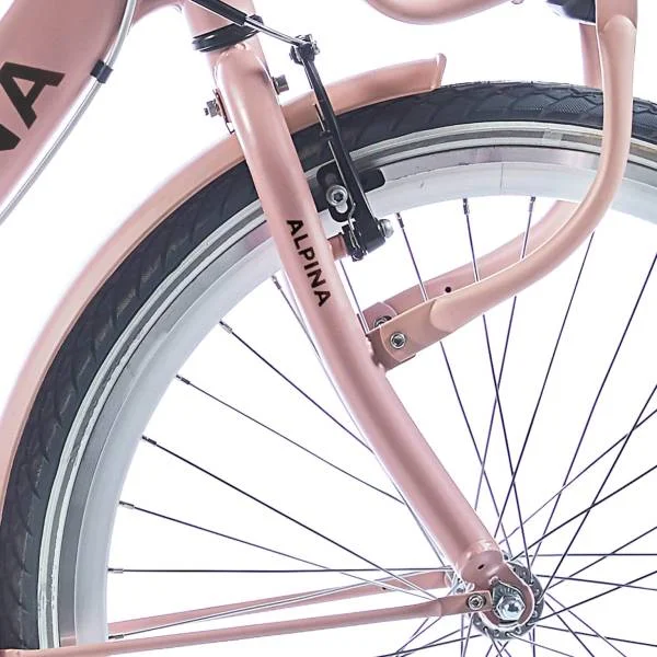 hollandbikeshop2-1366917