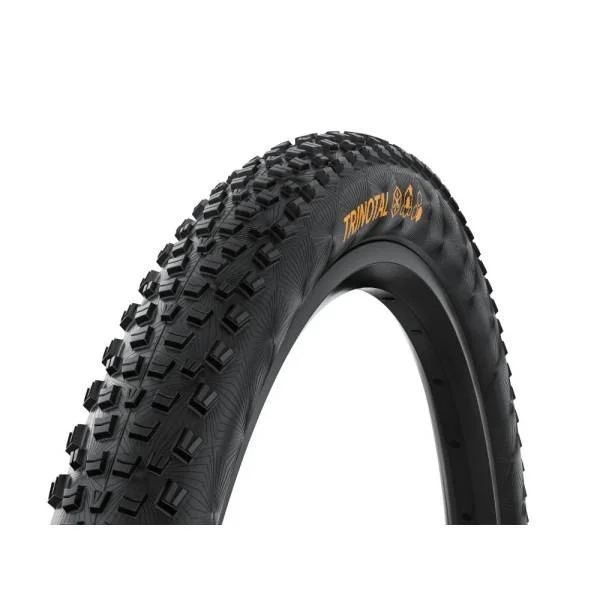 hollandbikeshop3-1400635