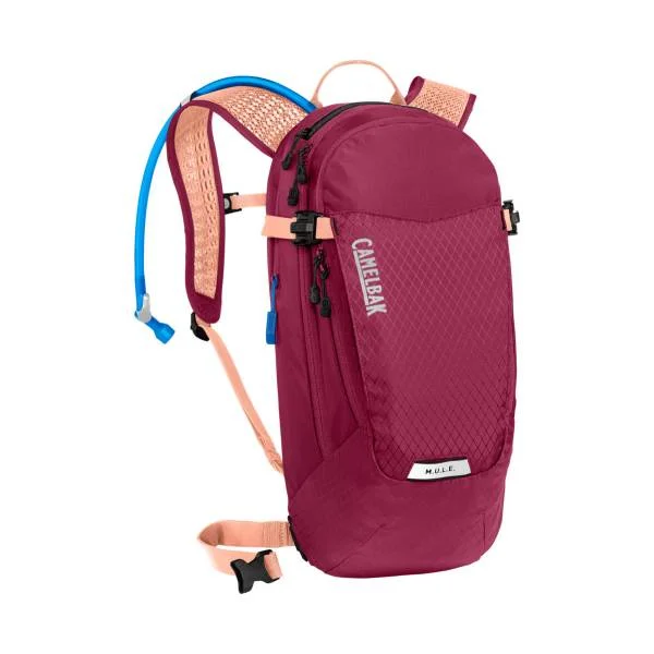 hollandbikeshop3-1440447