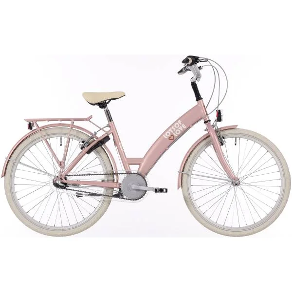hollandbikeshop3-1469871
