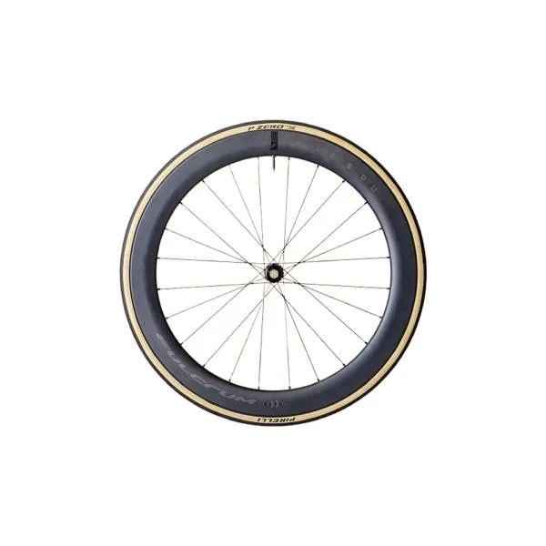 hollandbikeshop3-26902