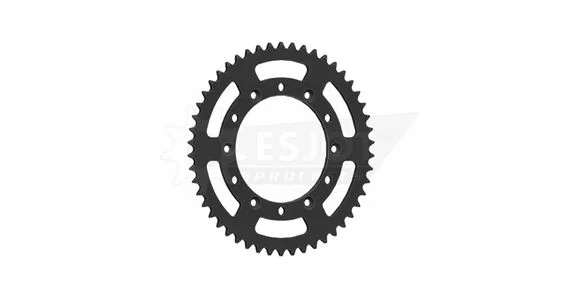 media.motoblouz5-145781