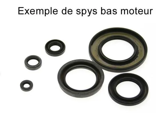 media.motoblouz5-650886